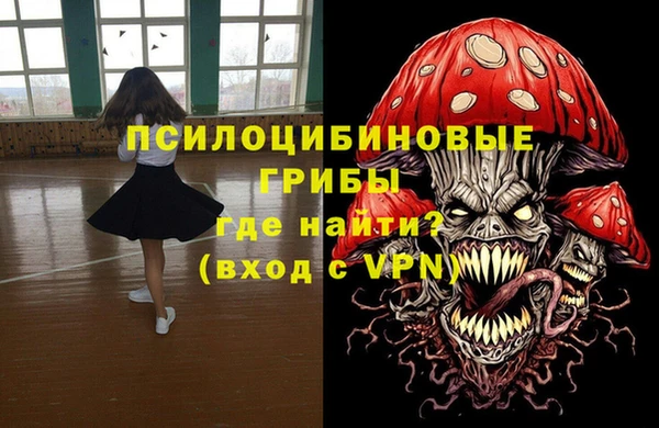 МДПВ Армянск