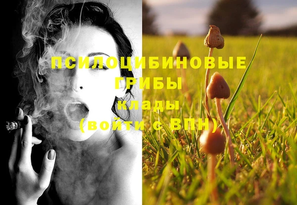 круглые Арсеньев