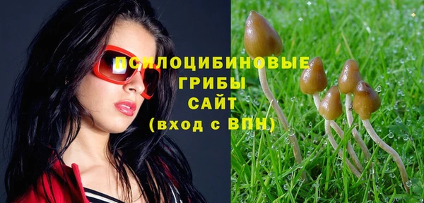 МДПВ Армянск